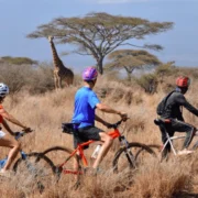 Satao Elerai Camp Amboseli National Park mountain biking safari Adeli Kenya Safaris best Africa sustainable safari tour company in Kenya