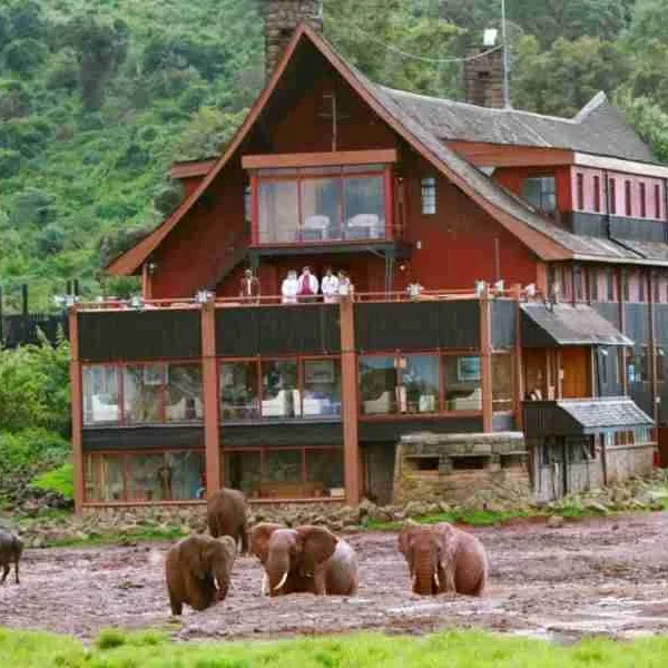 The Ark Lodge Aberdare National Park in Kenya.jpg