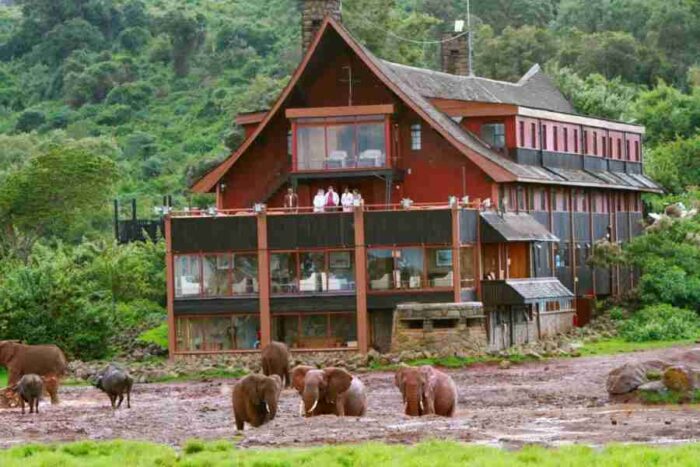 The Ark Lodge   Aberdare National Park in Kenya   Adeli Kenya Safaris   best Africa sustainable safari tour company in Kenya