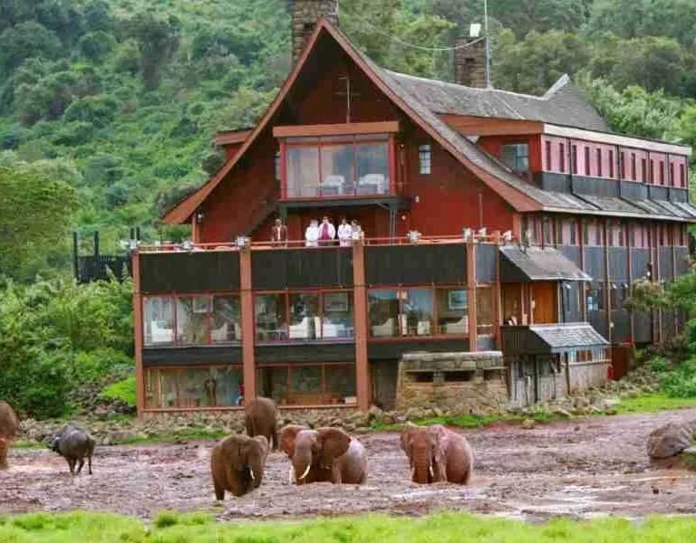 The Ark Lodge Aberdare National Park in Kenya Adeli Kenya Safaris best Africa sustainable safari tour company in Kenya