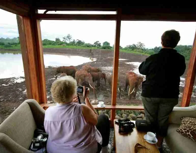 The Ark Lodge the best safari lodges in Kenya Adeli Kenya Safaris best Africa sustainable safari tour company in Kenya