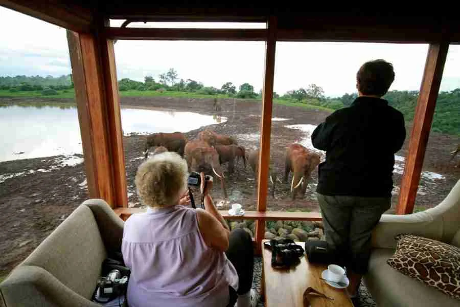 The Ark Lodge the best safari lodges in Kenya Adeli Kenya Safaris best Africa sustainable safari tour company in Kenya