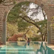 The Reatreat at Giraffe Manor Nairobi Adeli Kenya Safaris best Africa sustainable safari tour company in Kenya