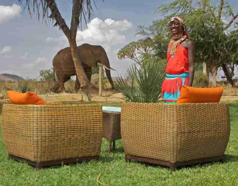 kenya Family safaris   Ashnil Samburu   Africa Kenya Safaris Limited