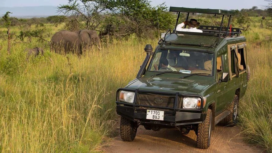 Book Luxury Kenya Wildlife and wildebeest migration safaris with Adeli Kenya Safaris - best Africa safari tour operator & travel agency in Kenya