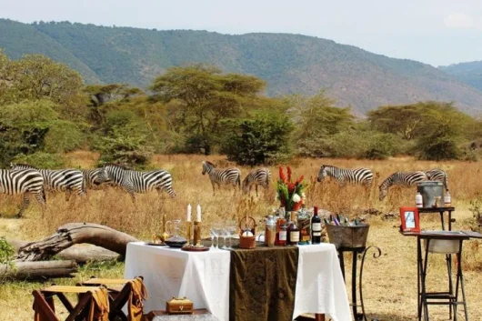 Tours 37 8 Days Tanzania Luxury Sky Air safari Exploring Tarangire Ngorongoro Serengeti