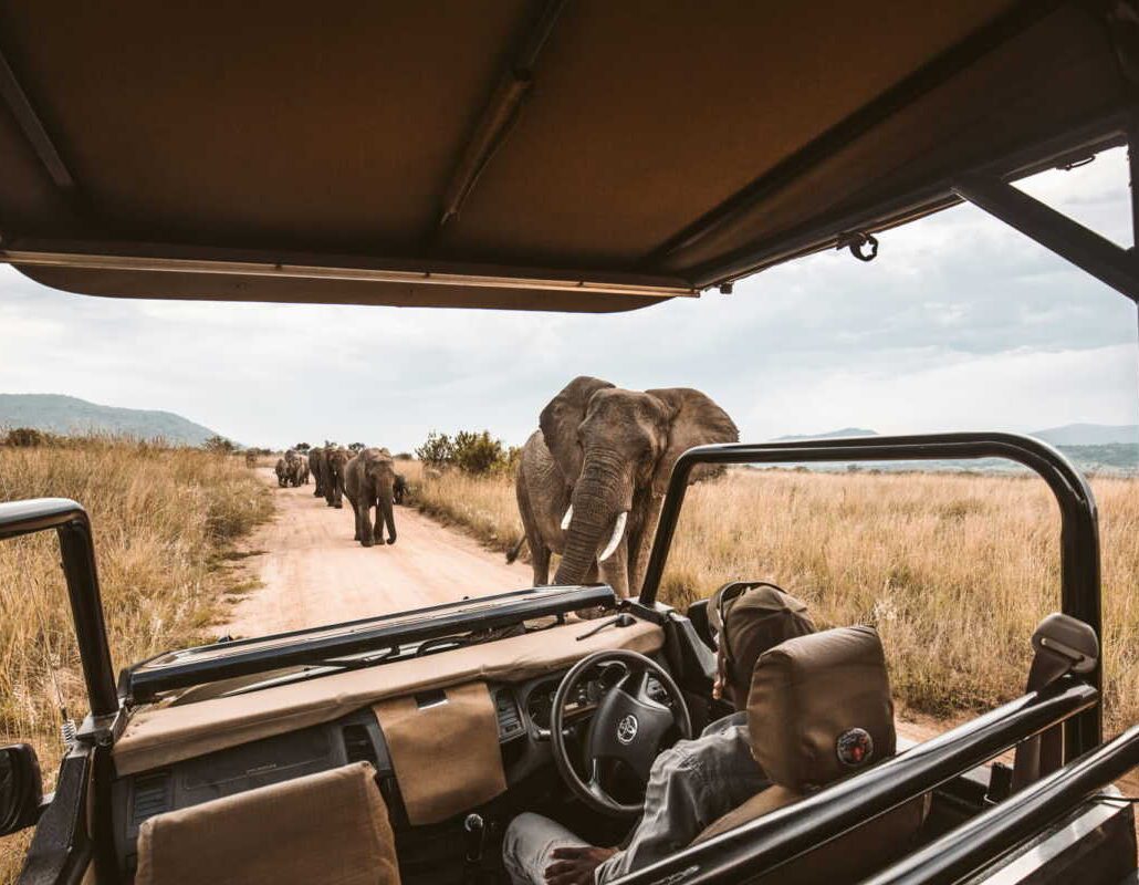 Africa safari holidays adventures and tour packages in Kenya, Tanzania, Zanzibar, Uganda and Rwanda with Adeli Kenya Safaris - the best safari tour company in Kenya