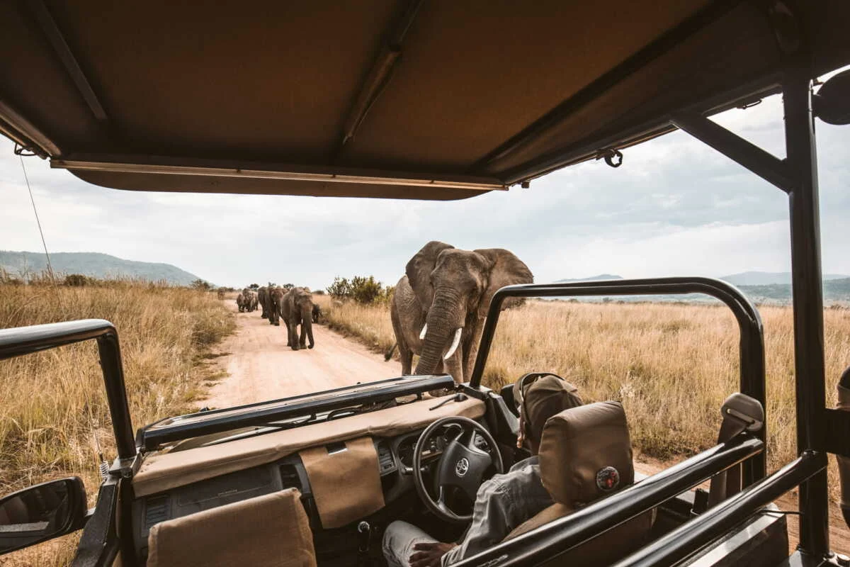 Africa safari holidays adventures and tour packages in Kenya, Tanzania, Zanzibar, Uganda and Rwanda with Adeli Kenya Safaris - the best safari tour company in Kenya