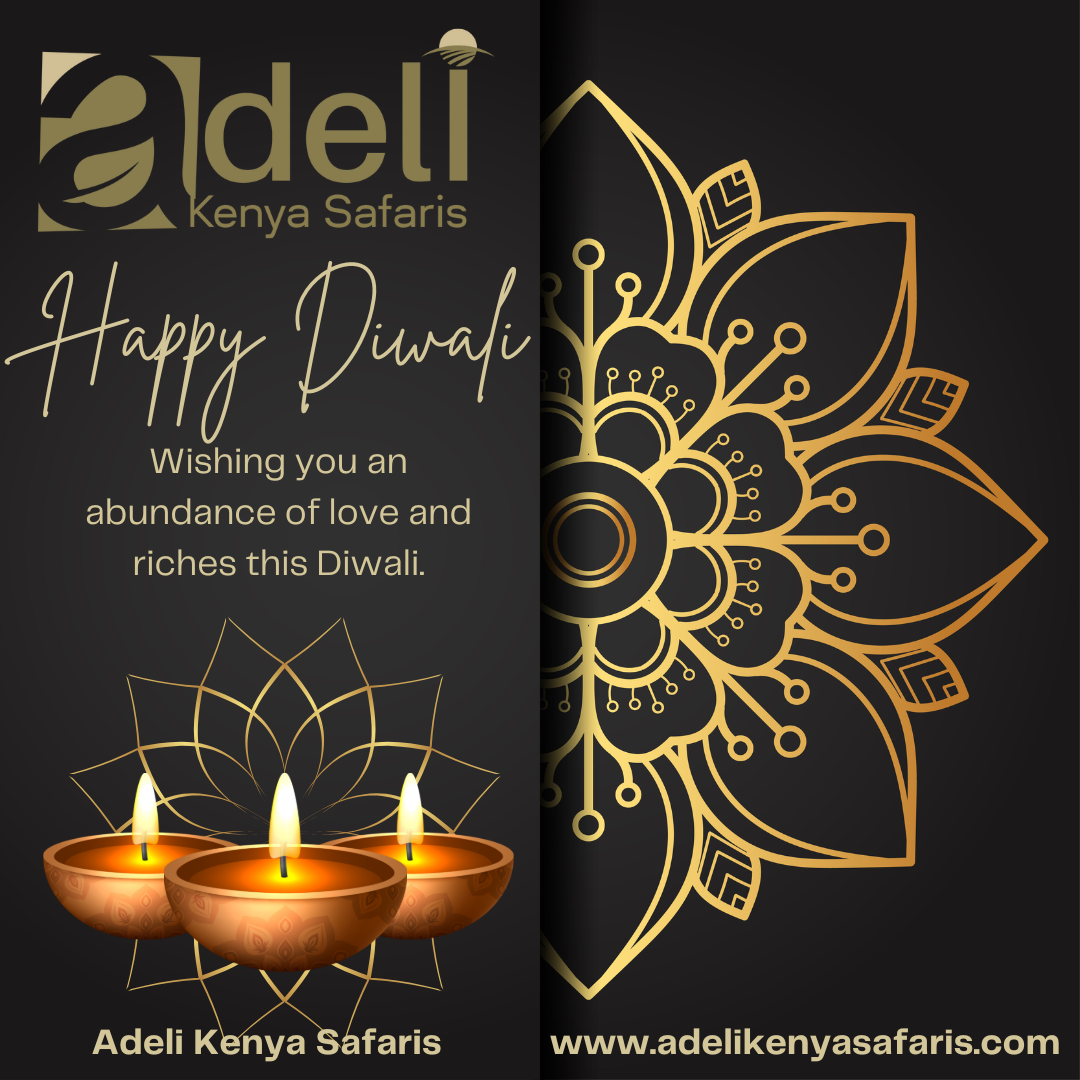 Happy Diwali Greetings 2025 | Adeli Kenya Safaris