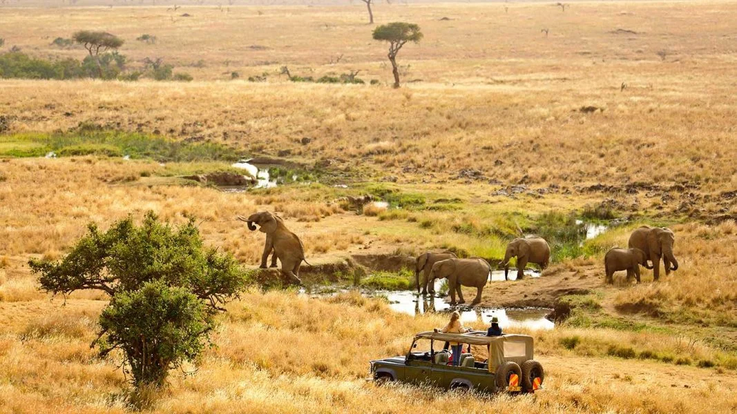 Elewana Kifaru 2018 165.1