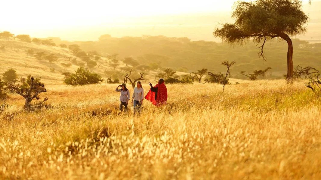 Walking Safaris in Laikipia