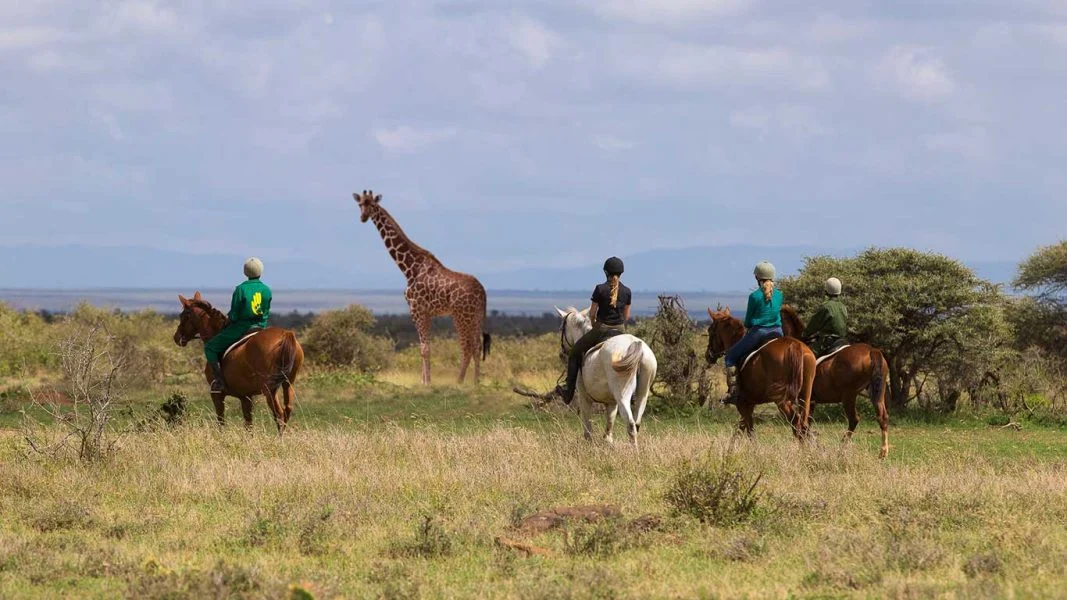 Elewana Loisaba Tented Camp activities horse riding in the conservancy