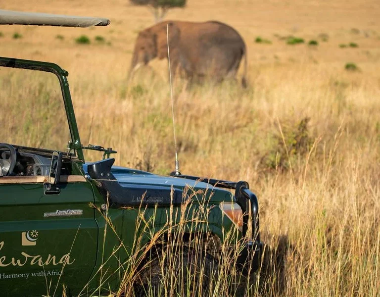 Elewana Sand River Game Drive