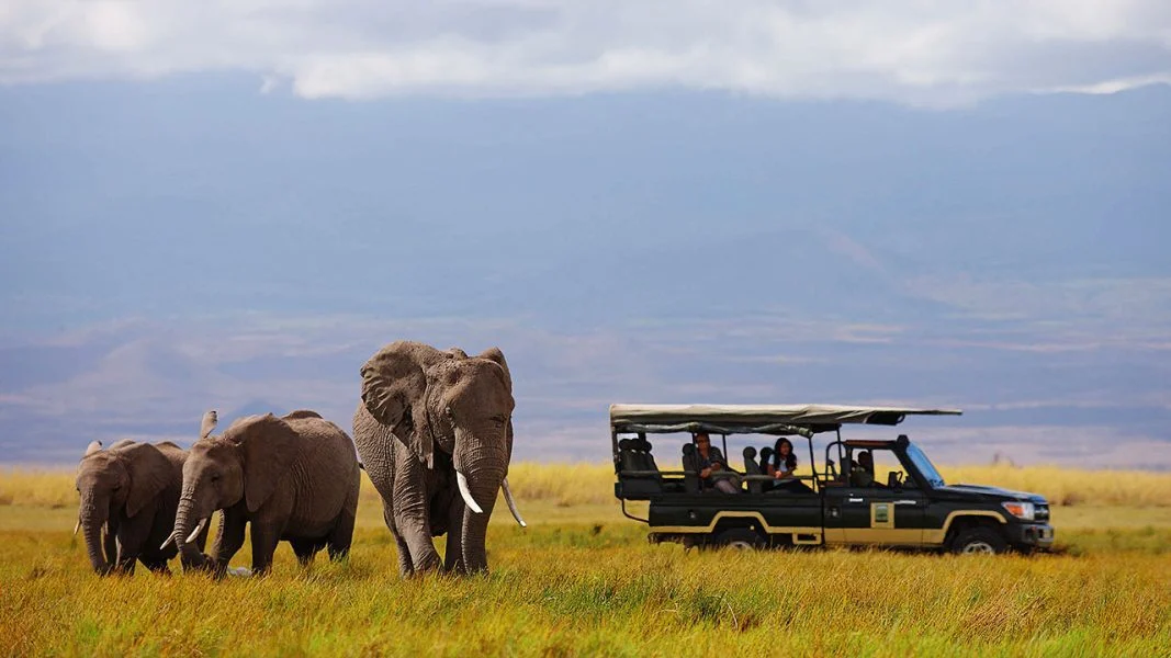 Elewana Tortilis Camp Amboseli National Park habituated elephant herds
