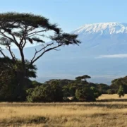 amboseli