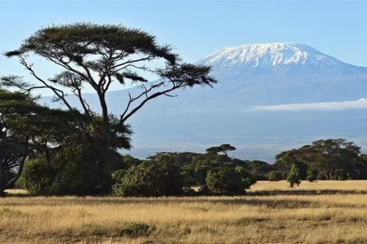 amboseli