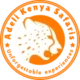Adeli Kenya Safaris logo Best Africa safari tour company in Kenya 120x120 1