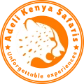 Adeli Kenya Safaris 