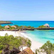 Chale Island best beach resorts at Diani beach Kenya Adeli Kenya Safaris best Africa sustainable safari tour company in Kenya scaled 1