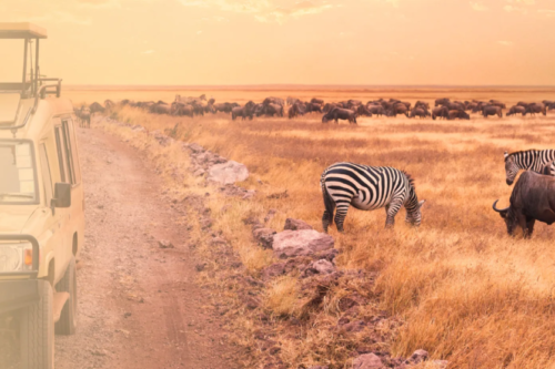 4 Days Masai Mara Kenya luxury 4x4 road safari from Nairobi