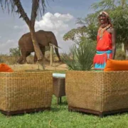 kenya Family safaris Ashnil Samburu Africa Kenya Safaris Limited scaled 1
