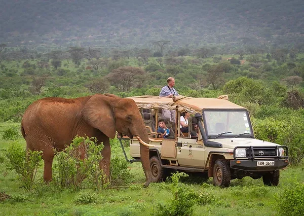 Atua-Enkop-Africa-Adeli-Kenya-Safaris.webp 5 Atua Enkop Africa Adeli Kenya Safaris
