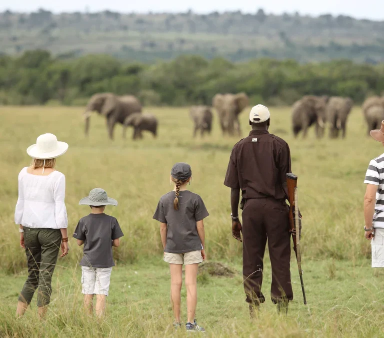 Kichwa Tembo Masai Mara: Book Kenya Family safari tours with Adeli Kenya Safaris-best-Africa sustainable safari tour-company in Kenya and Tanzania