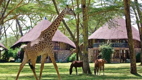 Kenya Residents holiday packages