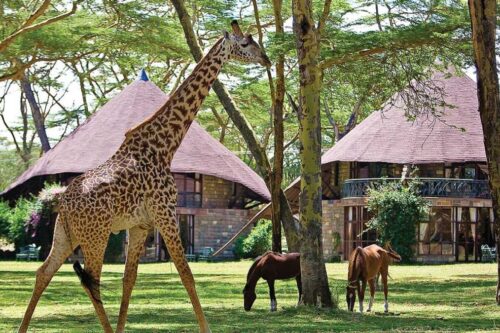 Kenya Residents holiday packages