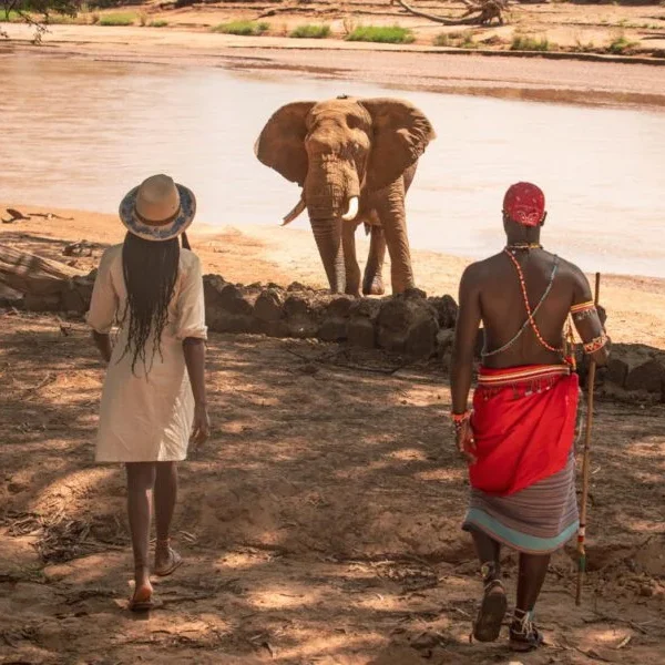 Soroi Larsens Camp Samburu National Reserve Kenya Luxuy safaris 1 Soroi Larsens Camp Samburu National Reserve Kenya Luxuy safaris