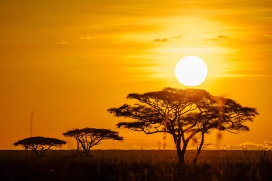 Kenya Safaris & Tour Packages | Luxury, Budget & Family Safaris 1 Kenya safari tour packages