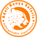 Adeli Kenya Safaris logo Best Africa safari tour company in Kenya 120x120 1