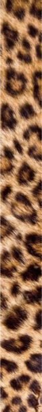 Cheetah pattern - Adeli Kenya Safaris