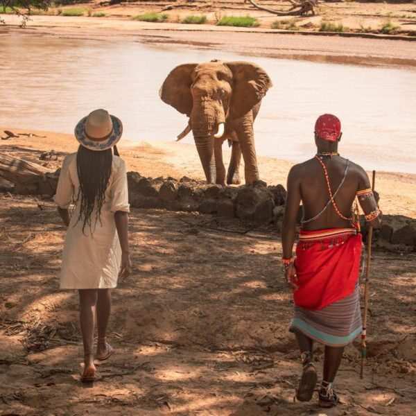 Soroi Larsens Camp Samburu National Reserve Kenya Luxuy safaris 1 Soroi Larsens Camp Samburu National Reserve Kenya Luxuy safaris