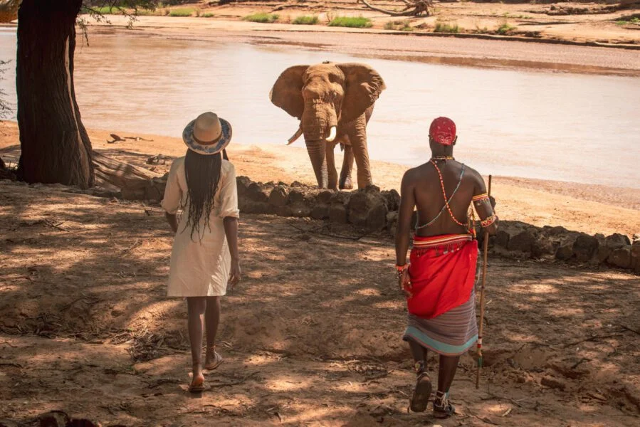 Soroi Larsens Camp Samburu National Reserve Kenya Luxuy safaris