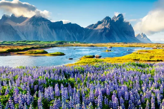 New Zealand Australasia Holiday Packages