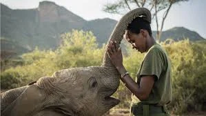 Reteti Elephant Sanctuary best places to see elephants on an Africa Kenya safari with Adeli Kenya Safaris