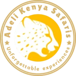 Adeli Kenya Safaris