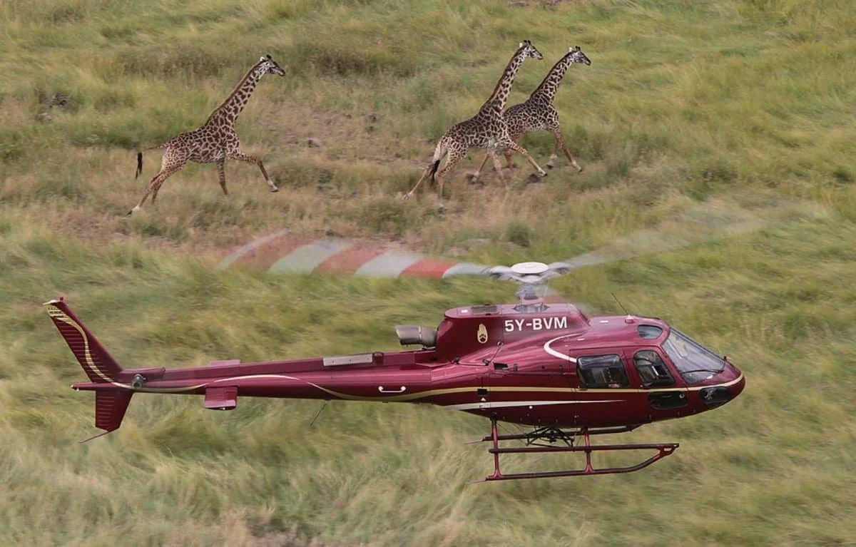 Africa Kenya helicopter safari tours with Adeli Kenya Safaris
