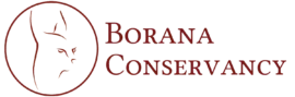 Borana Conservancy logo