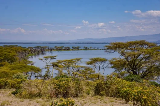 Crescent Island Lake Naivasha Kenya walking safari tour packages with Adeli Kenya Safaris 11