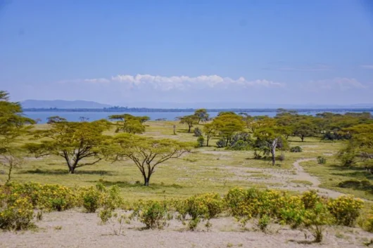 Lake Naivasha, Crescent Island & Hell’s Gate Park Full day Safari tour from Nairobi 20 Crescent Island Lake Naivasha Kenya walking safari tour packages with Adeli Kenya Safaris 2