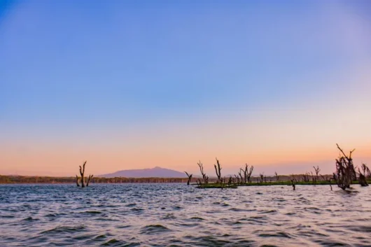 Lake Naivasha, Crescent Island & Hell’s Gate Park Full day Safari tour from Nairobi 21 Crescent Island Lake Naivasha Kenya walking safari tour packages with Adeli Kenya Safaris 3