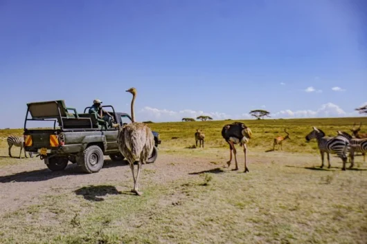 Crescent Island Lake Naivasha Kenya walking safari tour packages with Adeli Kenya Safaris 9