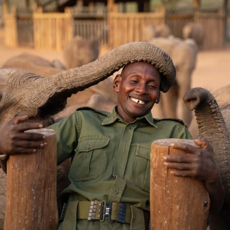 Explore Reteti Elephant Sanctuary with Adeli Kenya Safaris