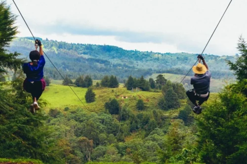 Kereita Forest Zip Lining Hiking Waterfall Tour from Nairobi with Adeli Kenya Safaris