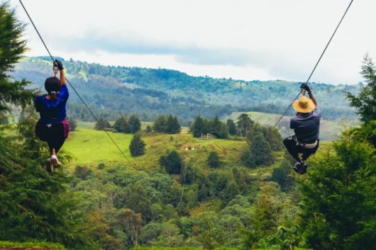 Kereita Forest Zip Lining Hiking Waterfall Tour from Nairobi with Adeli Kenya Safaris
