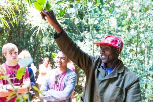 Kiambethu Tea Farm Nairobi City Excursion Tour with Adeli Kenya Safaris 10