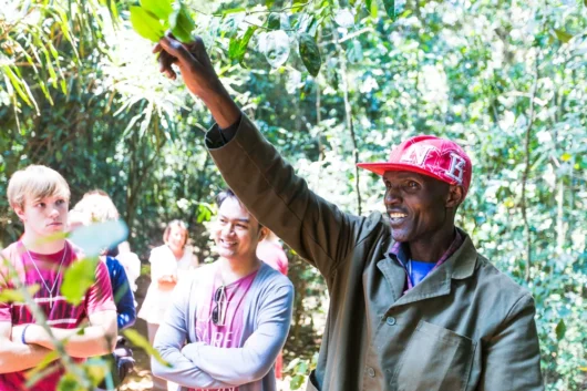Kiambethu Tea Farm Nairobi City Excursion Tour with Adeli Kenya Safaris 10