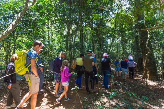 Kiambethu Tea Farm Nairobi City Excursion Tour with Adeli Kenya Safaris 11